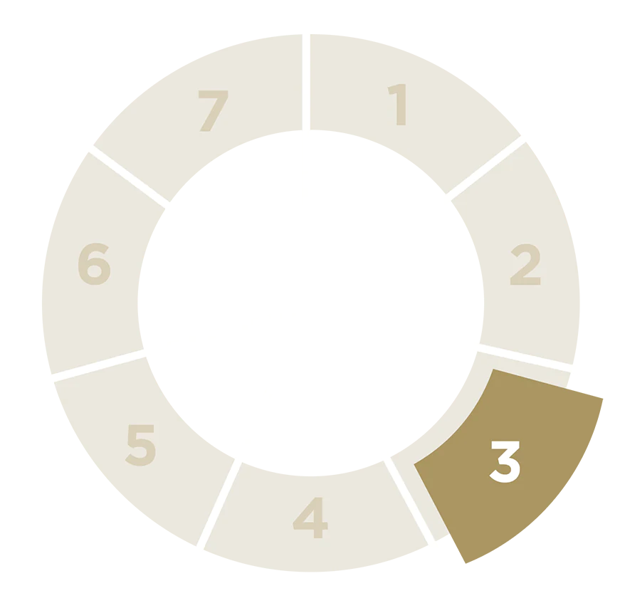 Carousel with the numbers 1 to 6, the highlight on number 3