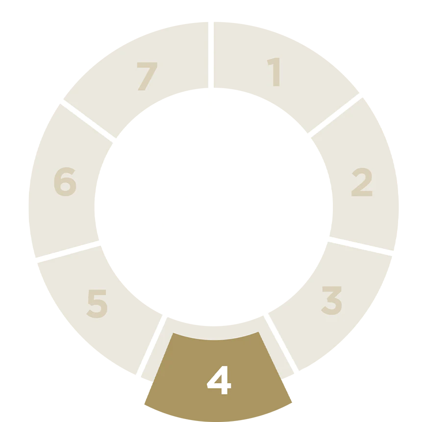 Carousel with the numbers 1 to 6, the highlight on number 4