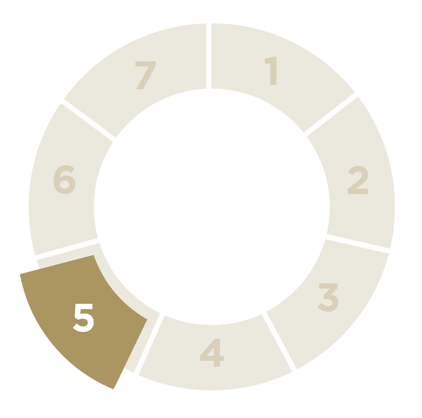 Carousel with the numbers 1 to 6, the highlight on number 5