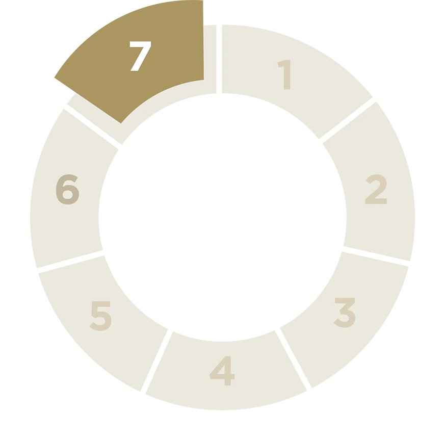 Carousel with the numbers 1 to 6, the highlight on number 7