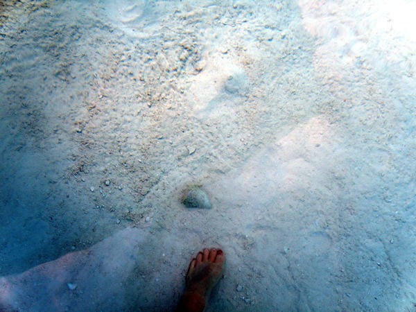 foot in water