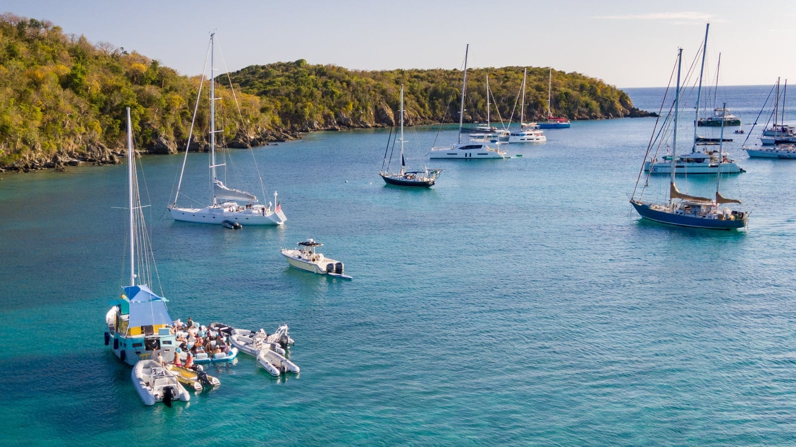 Featured image for “Featured School: Go Sail Virgin Islands"