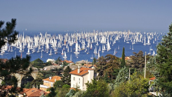 Barcolana race viewed from a hillside in Trieste